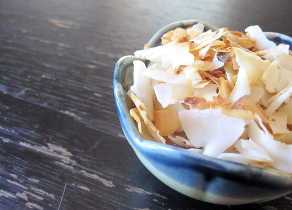 Caramelized Coconut Chips | meljoulwan.com