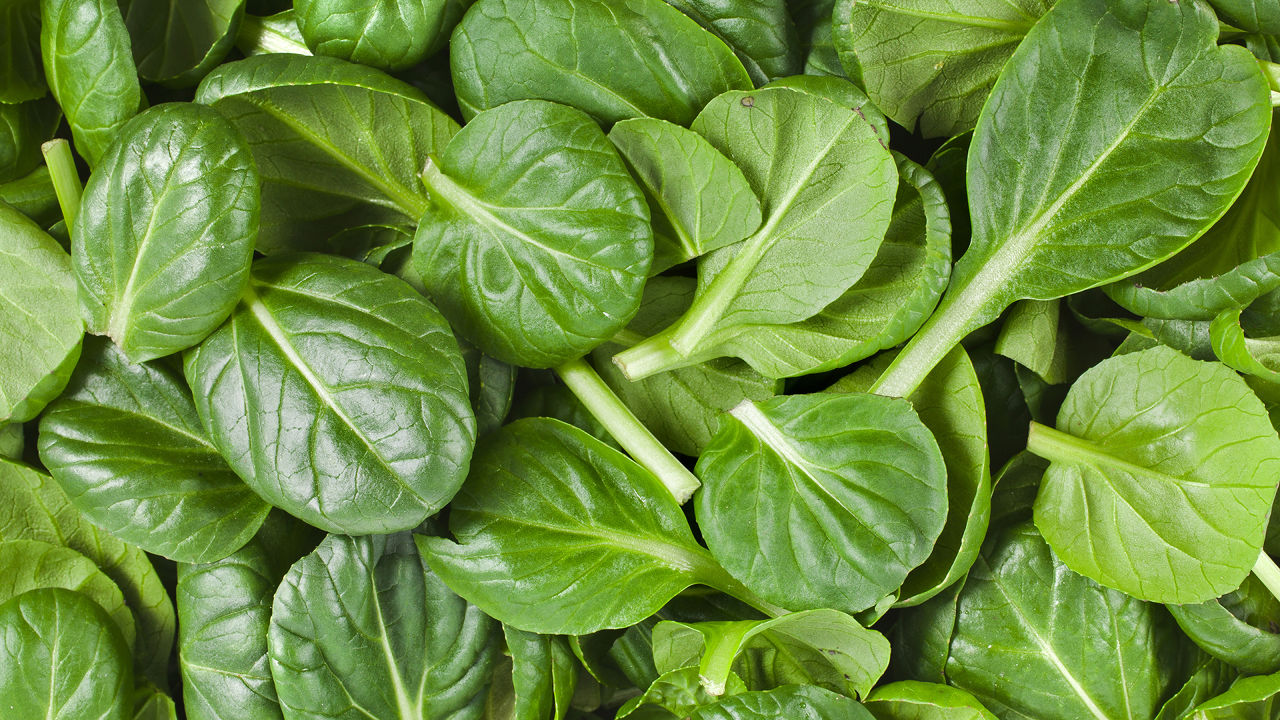 3027928-poster-p-spinach